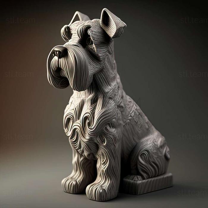 Zwergschnauzer dog